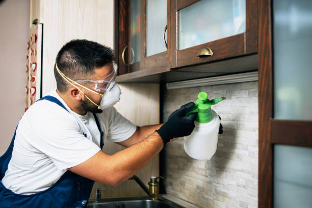 Best Affordable Pest Control Services  in Montpelier, IN